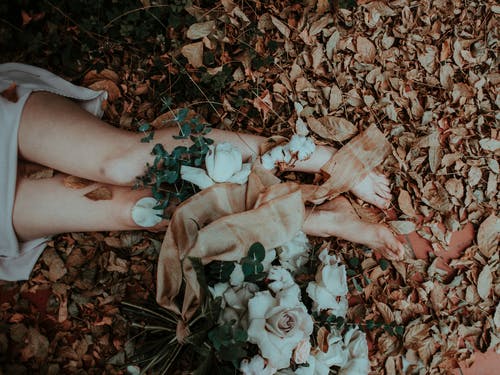人的腿在干树叶上的照片 · 免费素材图片