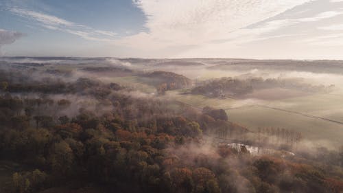 多云的天空下树木的航拍照片 · 免费素材图片