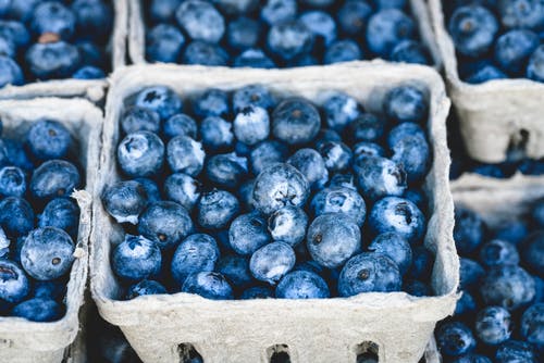蓝莓果实上灰色容器 · 免费素材图片