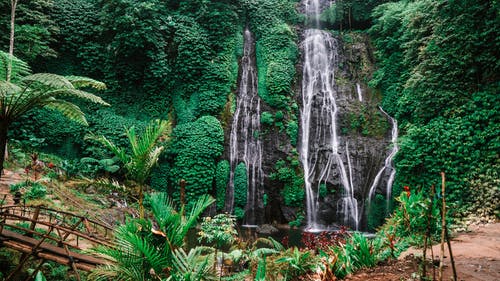 瀑布附近的绿色植物 · 免费素材图片