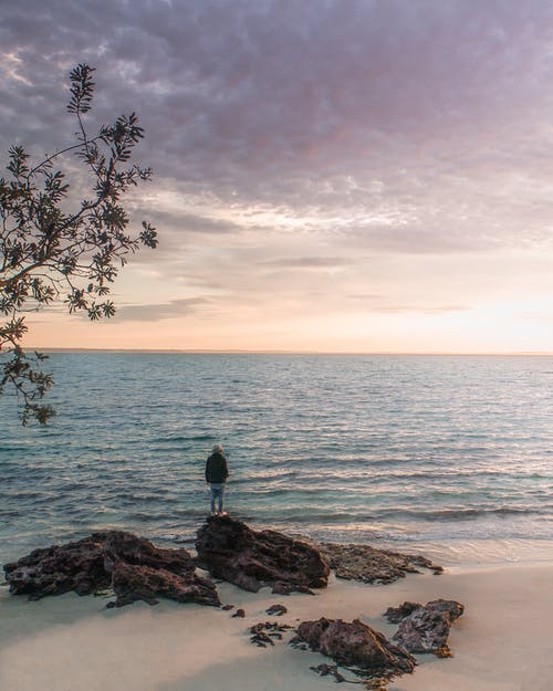 不可识别的单独游客正在考虑从石滩海 · 免费素材图片