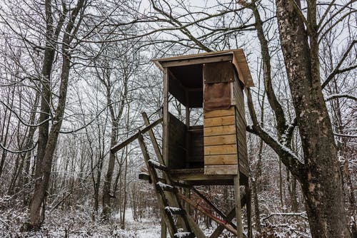 积雪的地面上的棕色木制树屋 · 免费素材图片