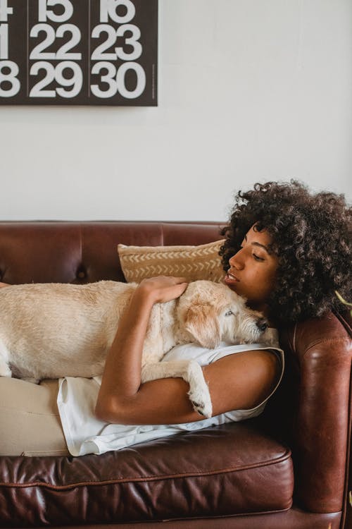躺在与她的狗的棕色皮革沙发上的女人 · 免费素材图片