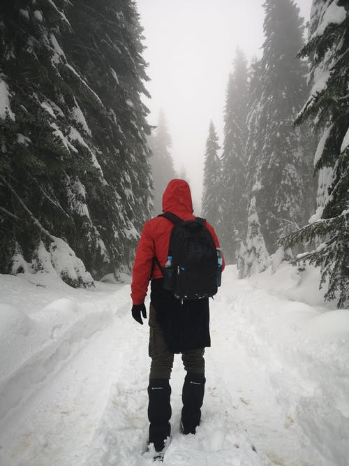 穿红色夹克和黑色裤子的人站在积雪的地面携带背包 · 免费素材图片
