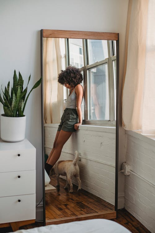 狗对着镜子在家里的女人 · 免费素材图片