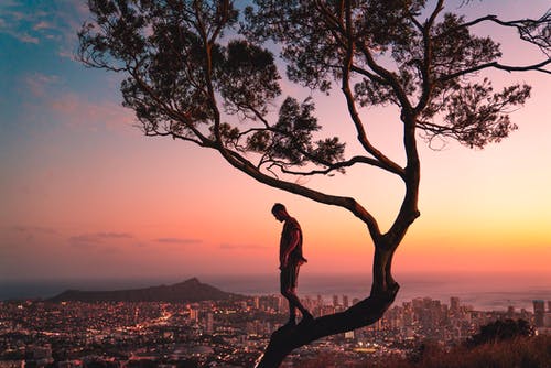 在日落时站在树枝上的人 · 免费素材图片