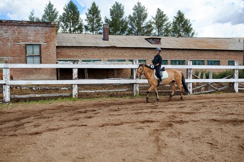 牧场围场围栏附近的匿名女骑士骑乘马 · 免费素材图片
