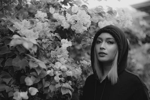 有关bw, 休闲, 兜帽的免费素材图片