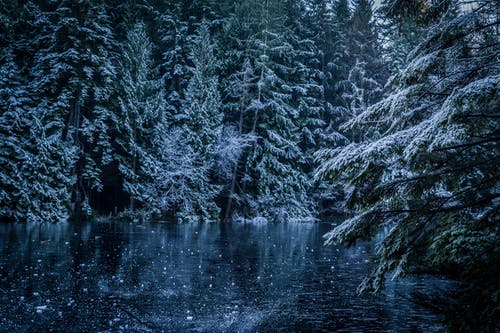 有关下雪的天气, 冬季, 冰冻的湖面的免费素材图片