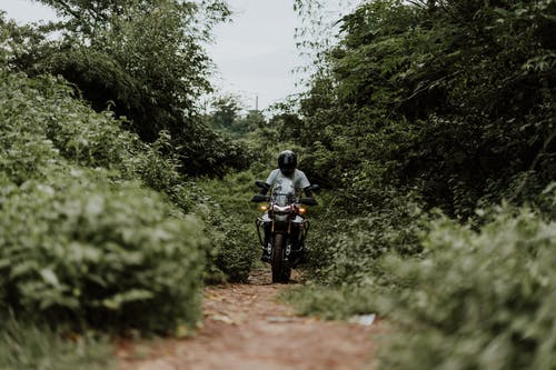 有关冒险, 小径, 小路的免费素材图片