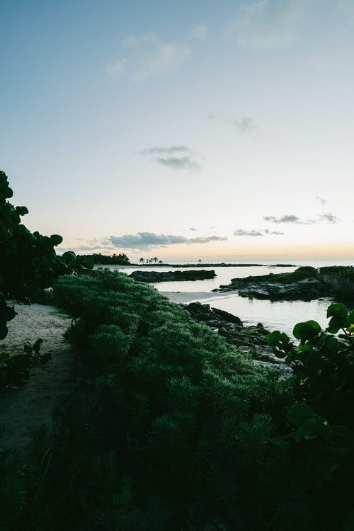 海上风景摄影旁边的绿树 · 免费素材图片