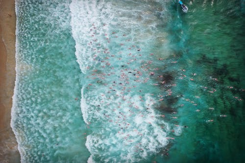 人们在海里游泳的航拍 · 免费素材图片