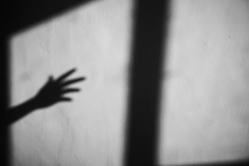 有关bw, 不均匀的, 不露面的免费素材图片