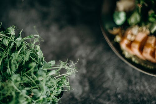 黑色的圆形板上的绿色叶子 · 免费素材图片