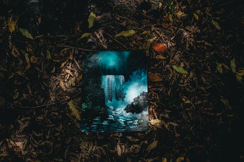 有关一般开销, 下落, 乾枯的免费素材图片