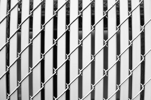 白色铁丝网围栏 · 免费素材图片