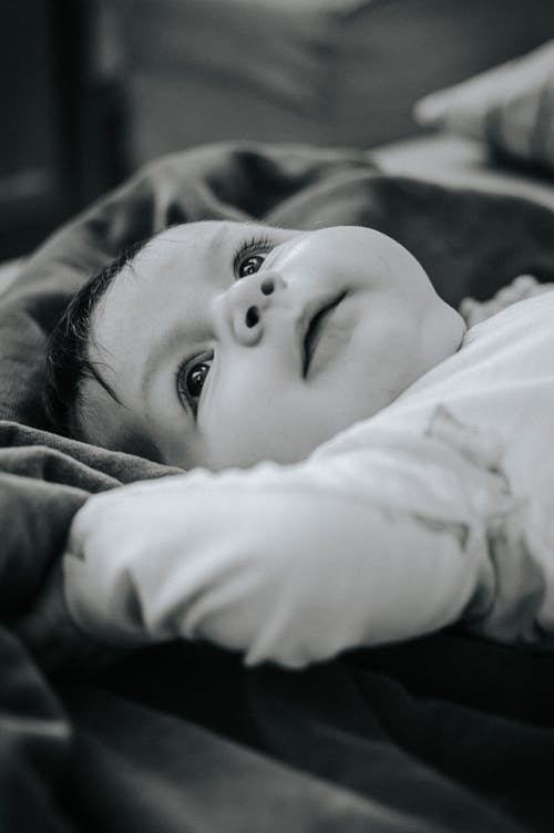 有关bw, 休息, 休息室的免费素材图片