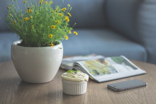 棕色木制咖啡桌上的黄色花焦点] · 免费素材图片