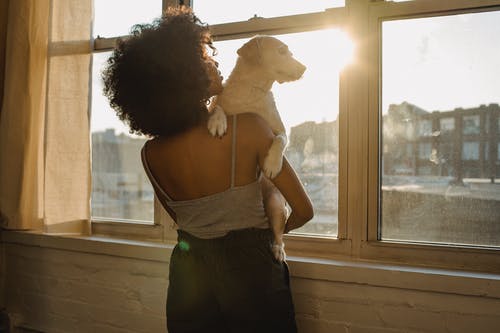 黑女人控股狗靠近窗户 · 免费素材图片