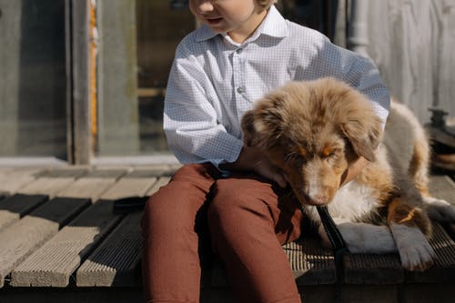 有关儿童, 动物爱好者, 哺乳动物的免费素材图片