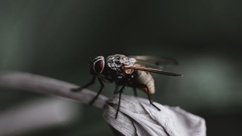 有关二萜, 公园, 和谐的免费素材图片