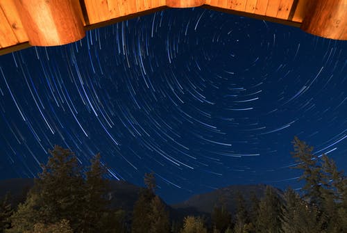 夜间树木上方恒星的定时摄影 · 免费素材图片