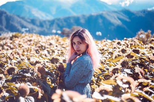 女人站在向日葵田 · 免费素材图片