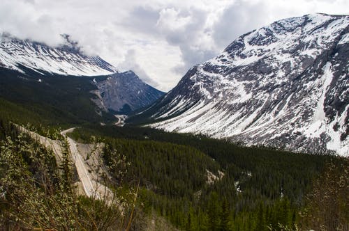 多云的日子，绿树旁的蓝白色阿尔卑斯山 · 免费素材图片
