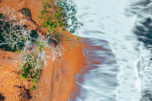 有关一般开销, 俯视图, 分公司的免费素材图片