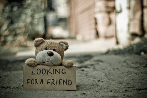 寻找朋友熊 · 免费素材图片