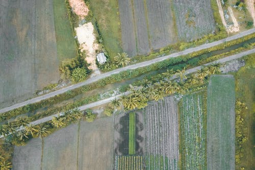 有关俯视图, 农事, 农艺学的免费素材图片