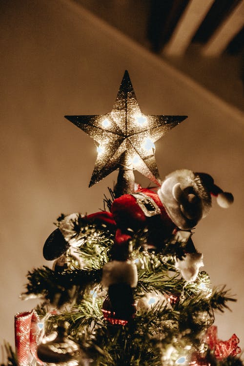 低角度拍摄的发光的星星，在一棵圣诞树上 · 免费素材图片