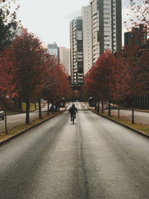 人驾驶自行车 · 免费素材图片
