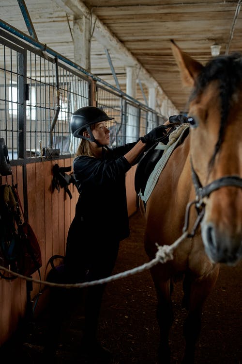 女人为骑马在马preparing里做准备 · 免费素材图片
