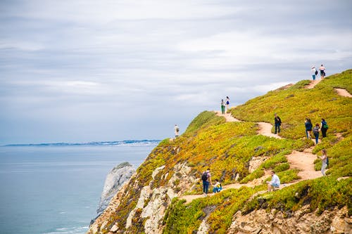 有关佩服, 僵硬, 土耳其蓝的免费素材图片