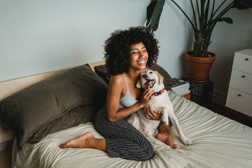 性格开朗的黑女人玩有趣的小狗在床上 · 免费素材图片