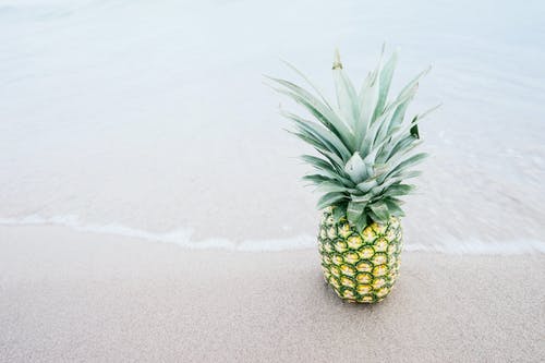 菠萝果实在岸上 · 免费素材图片