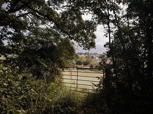 有关公园, 冷静, 分公司的免费素材图片