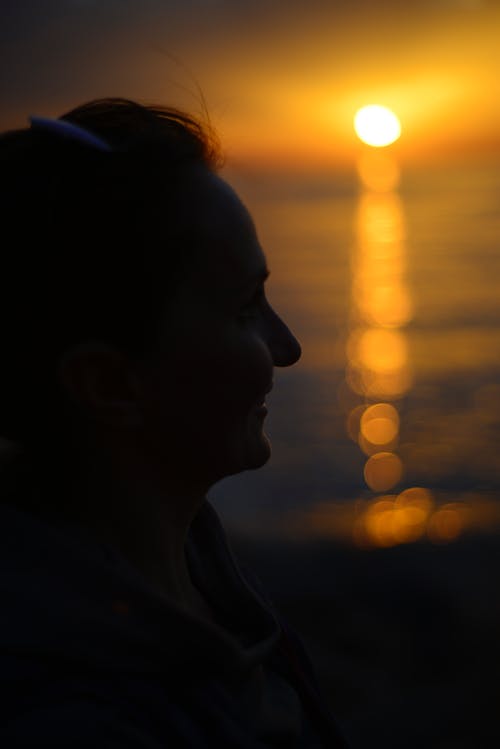 有关剪影, 垂直拍摄, 太阳的免费素材图片