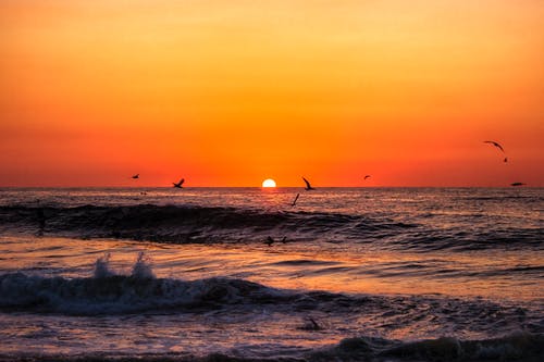 有关birds_flying, 侧面, 圣潘乔的免费素材图片