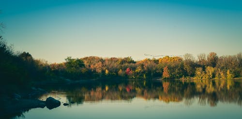 湖附近树木的照片 · 免费素材图片