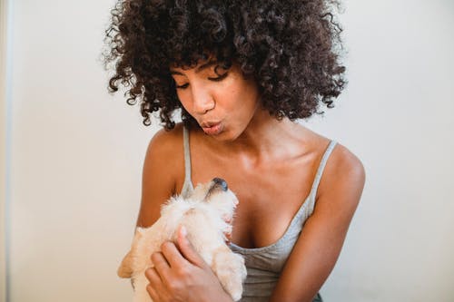 幸福的黑女人爱抚纯种狗 · 免费素材图片
