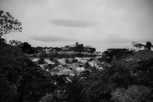 房屋附近树木的灰度摄影 · 免费素材图片