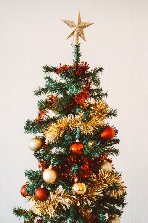 圣诞树上的装饰照片 · 免费素材图片
