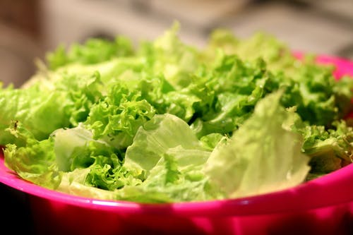 绿色和白色的生菜 · 免费素材图片