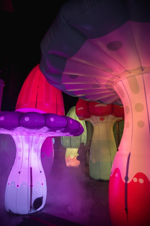 粉色和紫色充气气球 · 免费素材图片