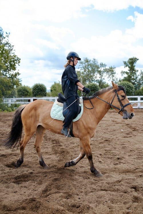 年轻的女骑士骑马在农村 · 免费素材图片