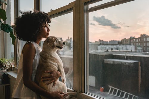 女人拥抱狗站在窗户附近 · 免费素材图片