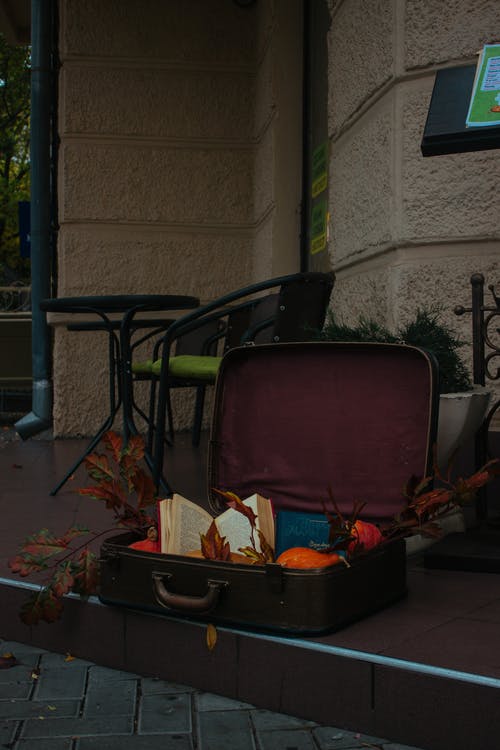 有关下落, 乾燥, 人行道的免费素材图片