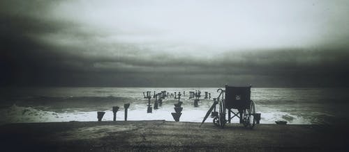 水海附近轮椅的灰度照片 · 免费素材图片
